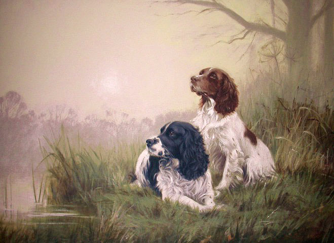 Springer deals spaniel art